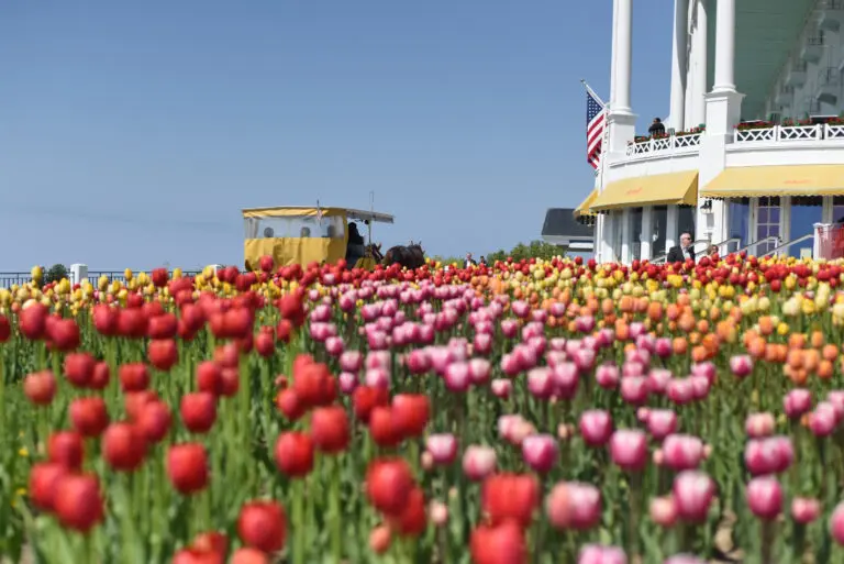 Mackinac Island Tops National Summer Travel Poll